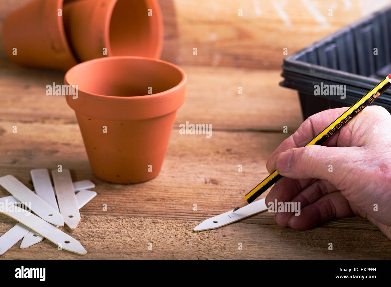 Schreiben auf Pflanzenetikett vor der Aussaat von Samen.Arbeiten in einem eintopfenden Schuppen oder Gewächshaus, auf einer eintopfenden Bank. Stockfoto