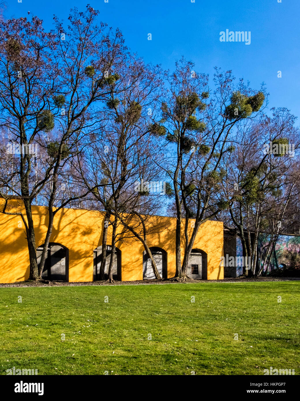 Berlin, Natur-Park Schöneberger Südgelände - Naturschutzgebiet auf einem Landstreifen zwischen 2 aktive Bahnstrecken vor Ort der alten Bahn Hof & train depot Stockfoto