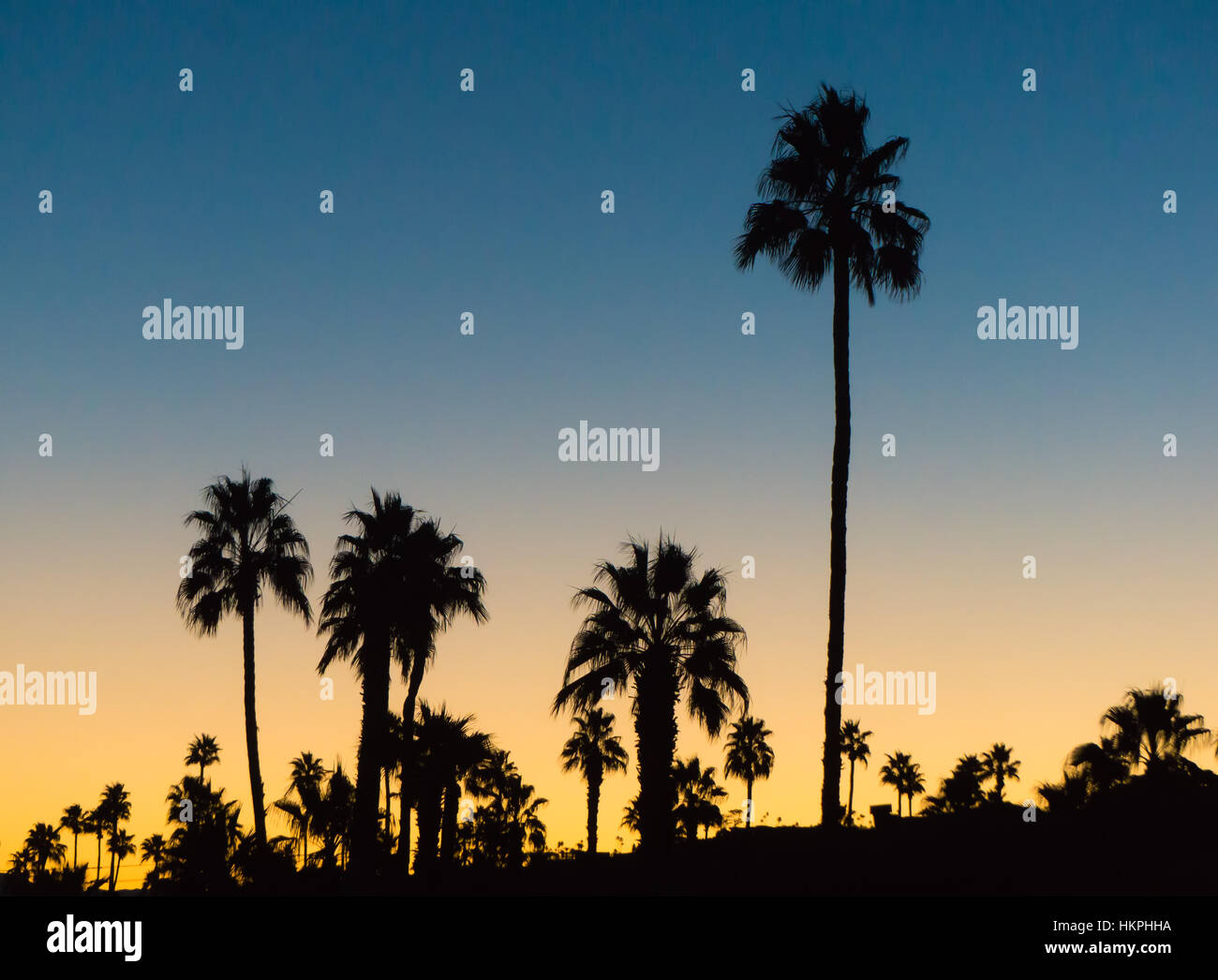 Sunrise Palm Springs Kalifornien USA Stockfoto