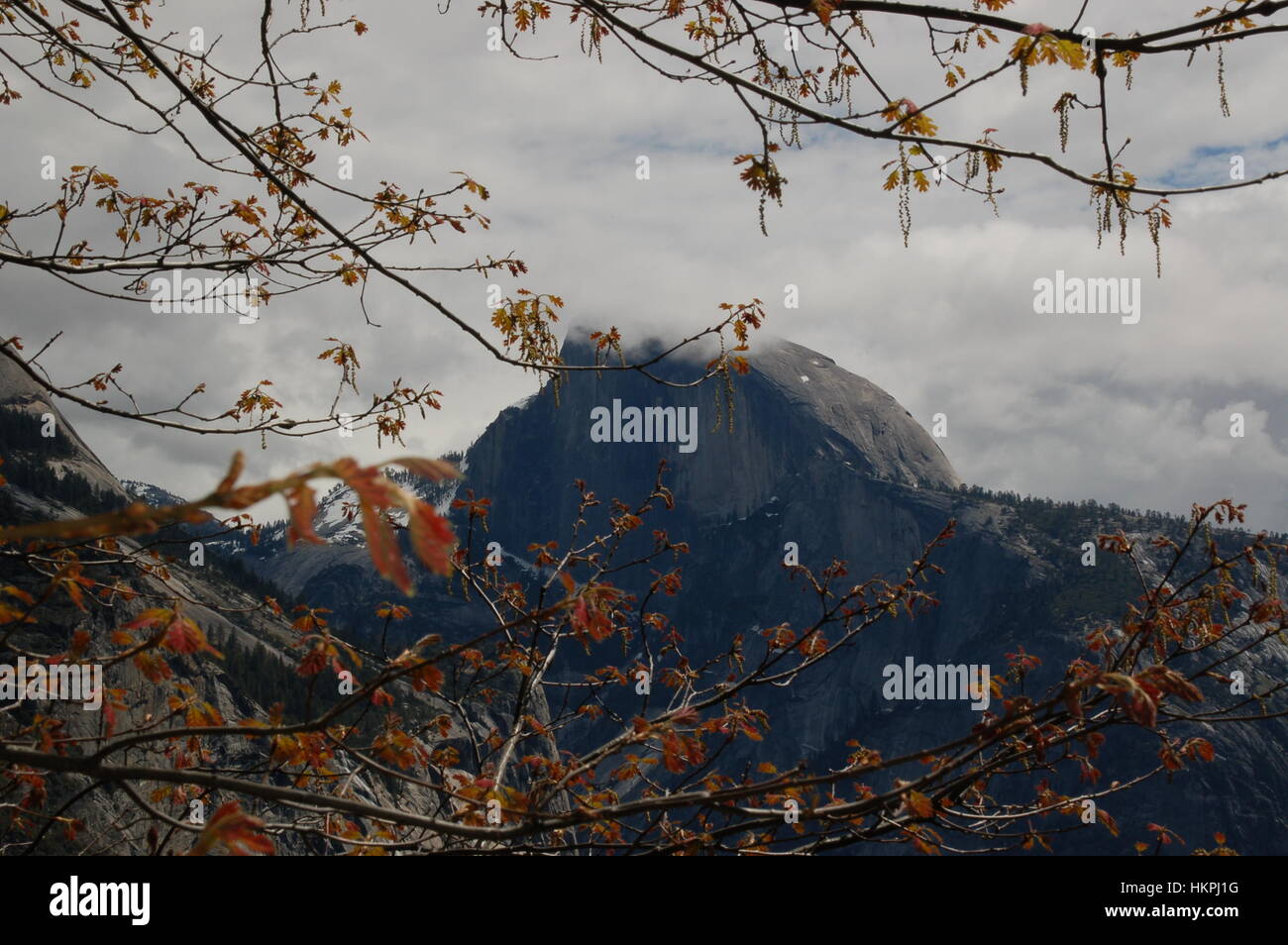 Half Dome bedeckt eine Schicht von Wolken im Yosemite Valley, CA. Bild stammt von den Yosemite Falls Trail. Stockfoto