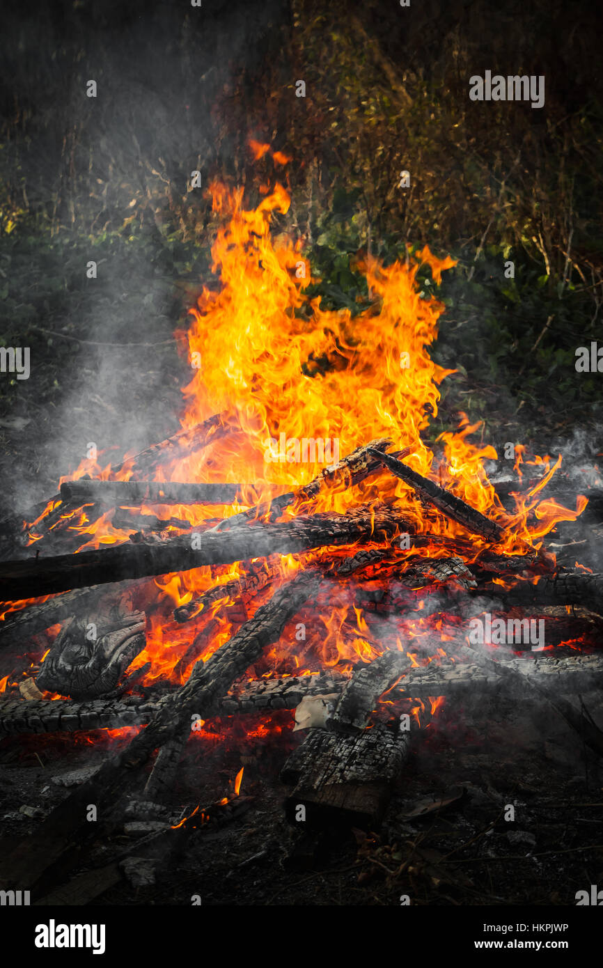 Vertikale Foto von Brennholz in großen Feuer brennen Stockfoto