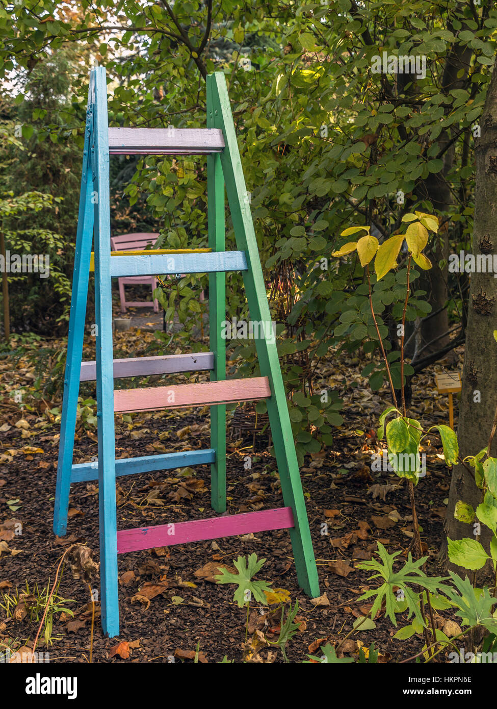 Bunte Holzleiter im Garten Stockfoto