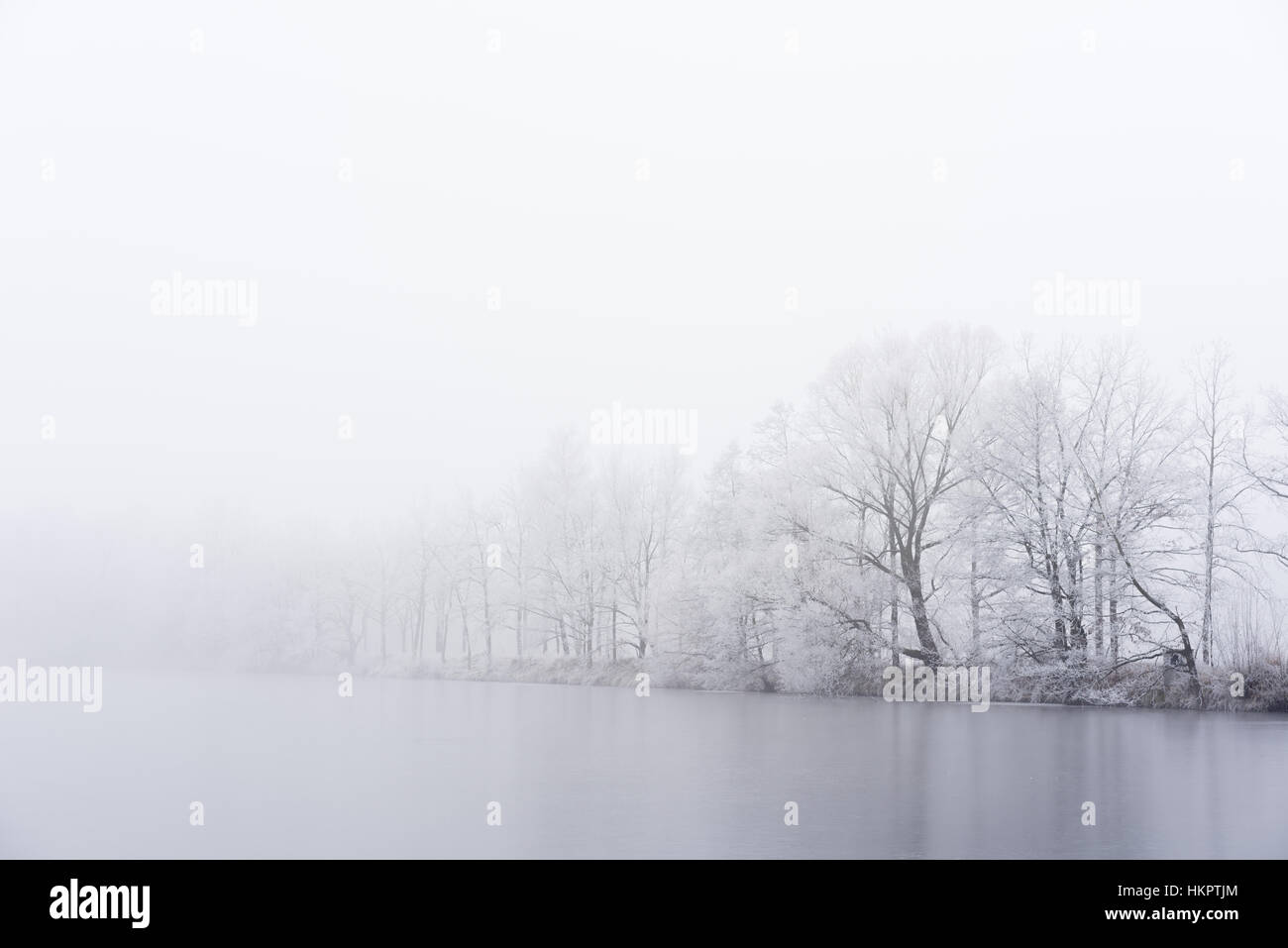 Winternebel am Ufer des eisigen See. Gefrorene Bäume. Stockfoto