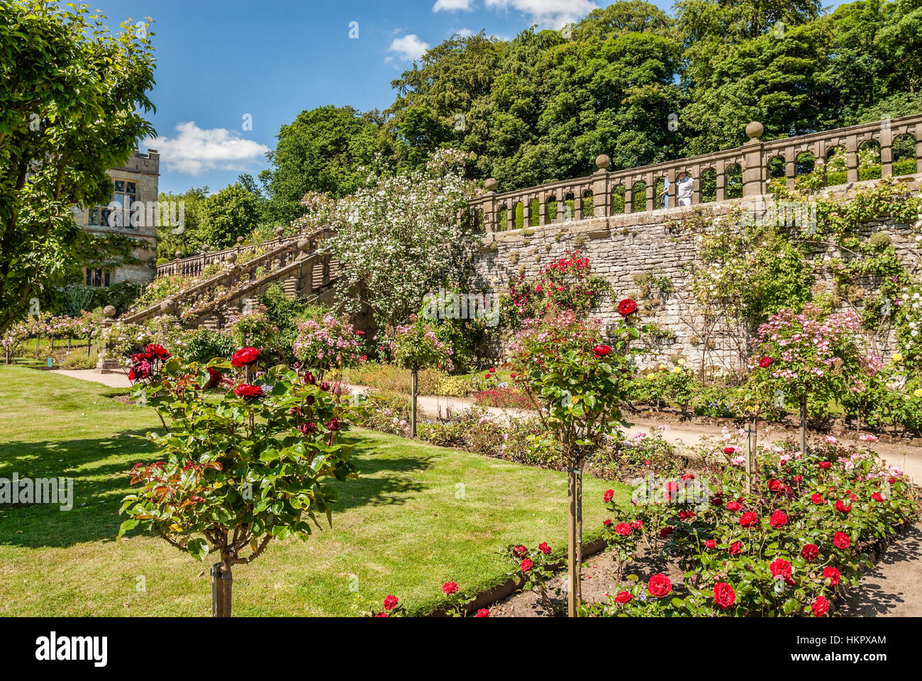 Rosengarten in Norman Castle Haddon Hall in der Nähe von Bakewell, Derbyshire, Mittelengland Stockfoto