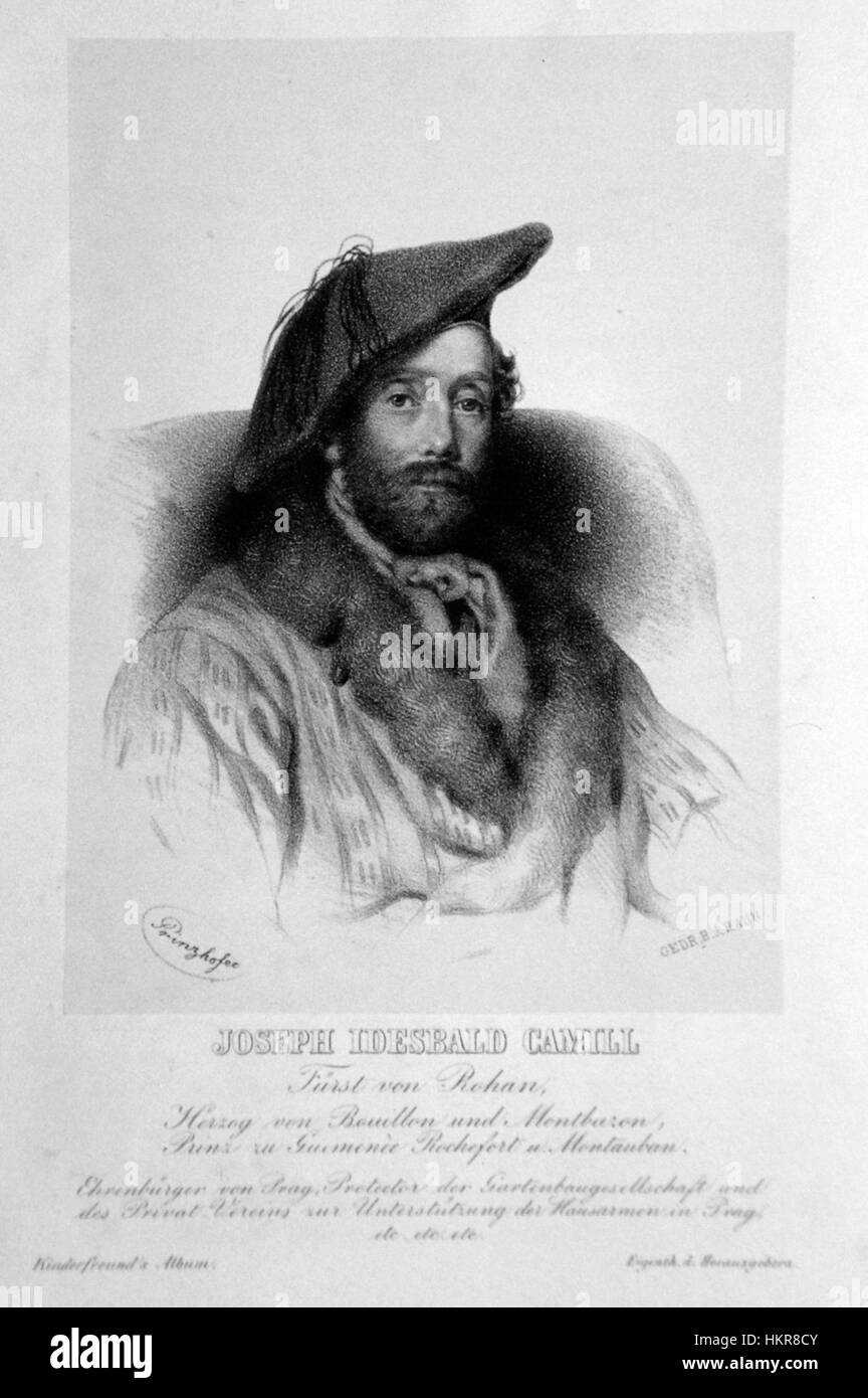 Eine Lithografie von *Camille Rohan* mit komplexen Designs und klassischen Elementen. Dieser Druck zeigt die Kunst des Künstlers, feine Details und Tiefe zu erfassen, die typisch für die Lithographie des 19. Jahrhunderts ist. Stockfoto