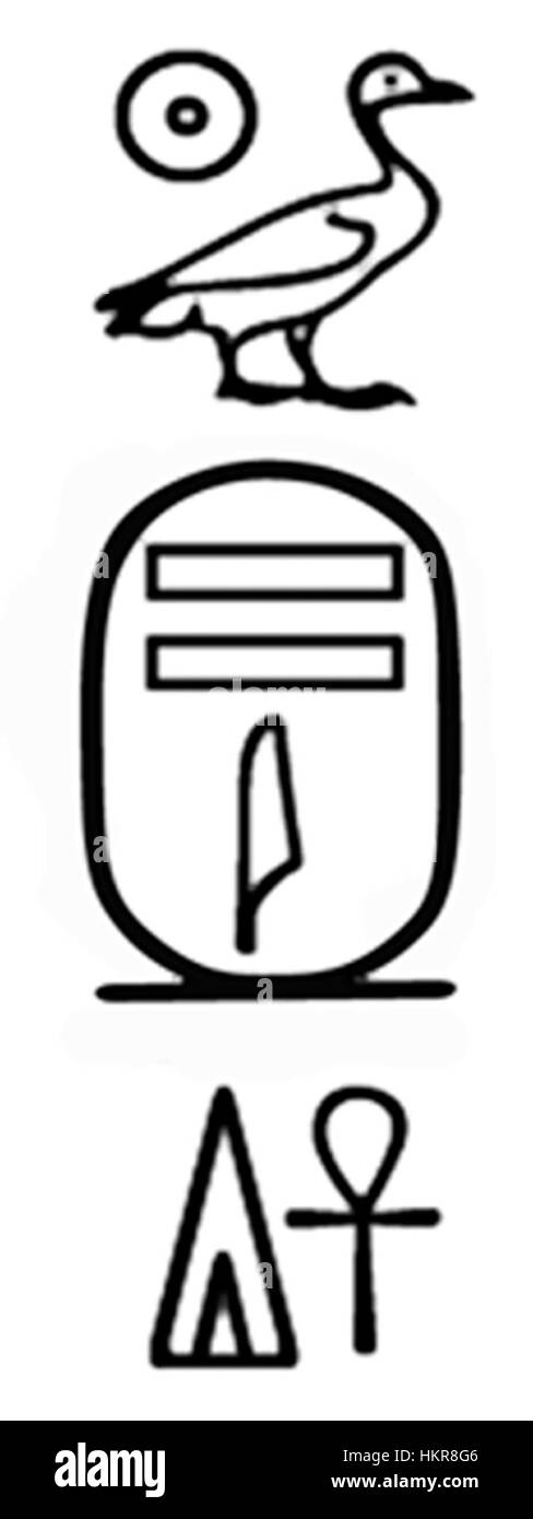 Dieser Canaanit-Scarab zeigt die Kartusche von König Sheshi und bietet einen Einblick in die Handwerkskunst und königliche Ikonographie der alten ägyptischen Zivilisation. Die detailgetreue Schnitzerei zeigt die Kunst der Handwerker bei der Herstellung solcher Artefakte. Stockfoto