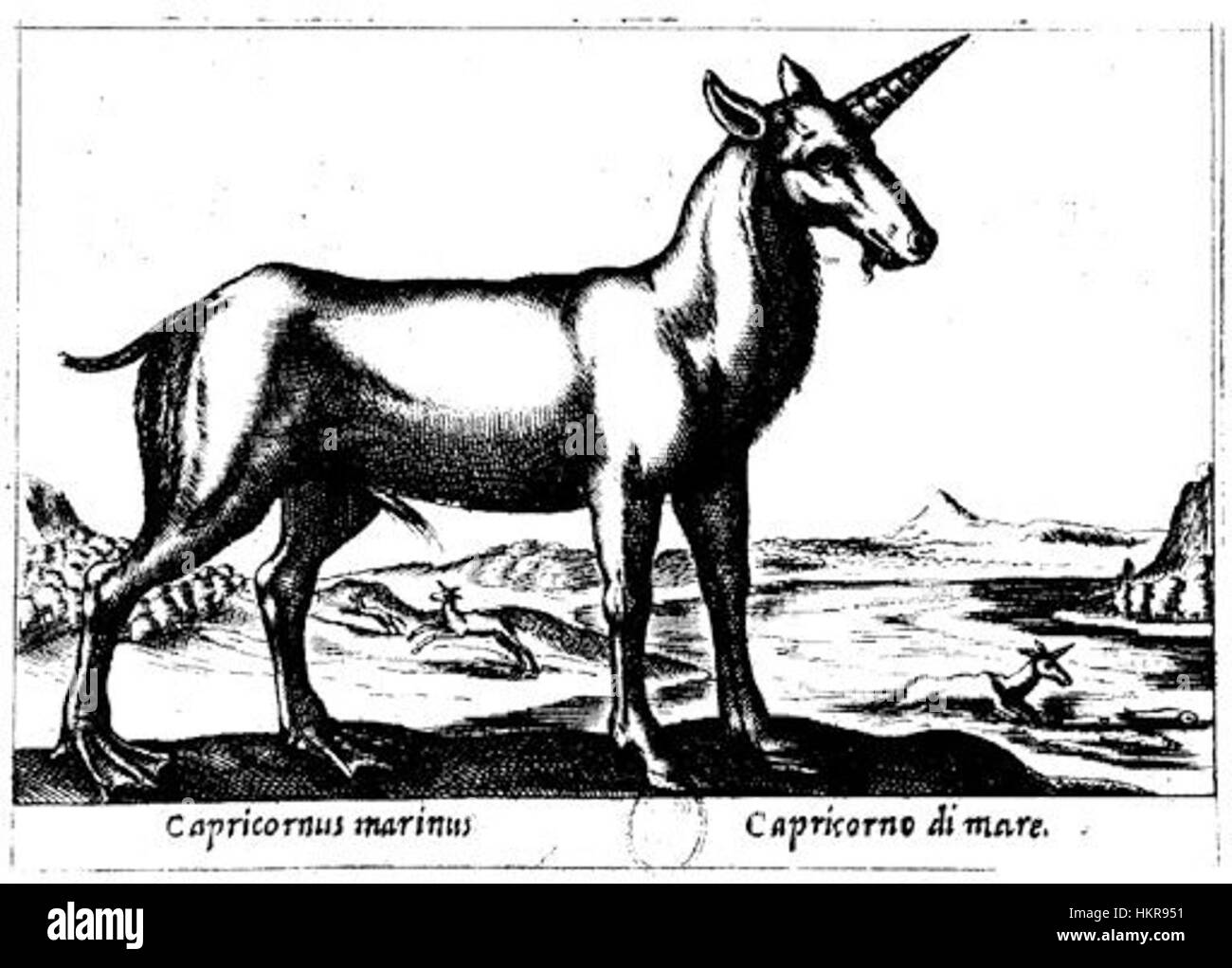 Dieses Kunstwerk mit dem Titel „Capricornodimare“ zeigt eine mythische Kreatur, die Elemente der Meeres- und Zodiakalbilder mit detailliertem künstlerischen Ausdruck kombiniert. Stockfoto