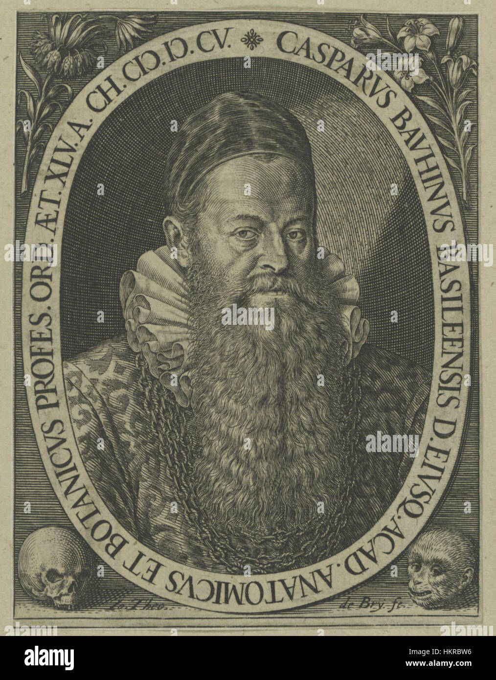Ein Kupferstich von Caspar Bauhin, einem bemerkenswerten Botaniker aus dem 17. Jahrhundert, von de Bry geschaffen. Das Bild spiegelt das wissenschaftliche Interesse der Zeit und Bauhins Beiträge zu den botanischen Studien wider. Stockfoto