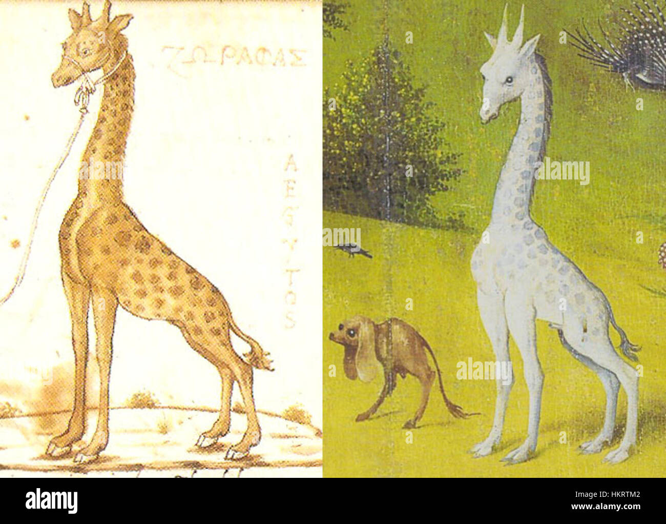 Dieses Gemälde von Cyriacus, inspiriert von Bosch, zeigt eine Giraffe als Teil einer surrealen und fantastischen Komposition. Die Einbeziehung exotischer Tiere in die Kunst spiegelt die europäische Faszination für das Unbekannte während der Renaissance wider. Stockfoto