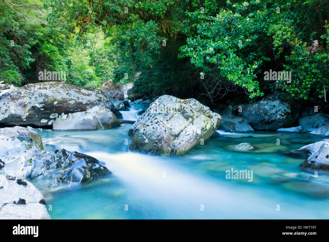 Gebirgsbach und valdivianischen Regenwald in der Tagua Tagua-Reserve im nördlichen Patagonien, Chile Stockfoto