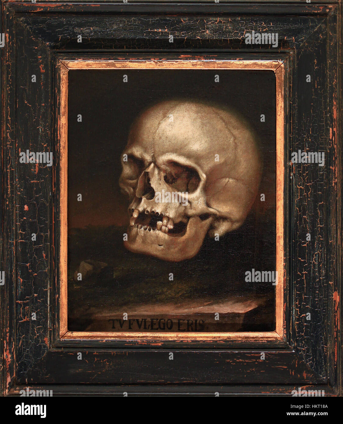 „Tu fui Ego eris“ von Dieffenbrunner ist ein reflektierendes Kunstwerk, das das Konzept der Sterblichkeit und die zyklische Natur des Lebens erforscht. Das Stück symbolisiert das Vergehen der Zeit mit seinem schroffen und emotionalen Stil, der für Dieffenbrunners Umgang mit existentiellen Themen charakteristisch ist. Stockfoto