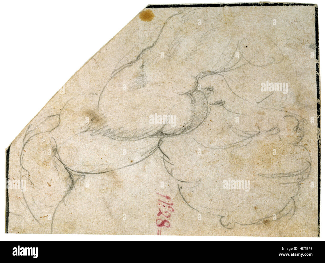 Diese Studie von Michelangelo konzentriert sich auf die Anatomie der menschlichen Schulter, Brust und Oberarm. Es veranschaulicht sein meisterhaftes Verständnis von menschlicher Form und Proportionalität, ein zentrales Thema seiner künstlerischen Arbeit. Stockfoto