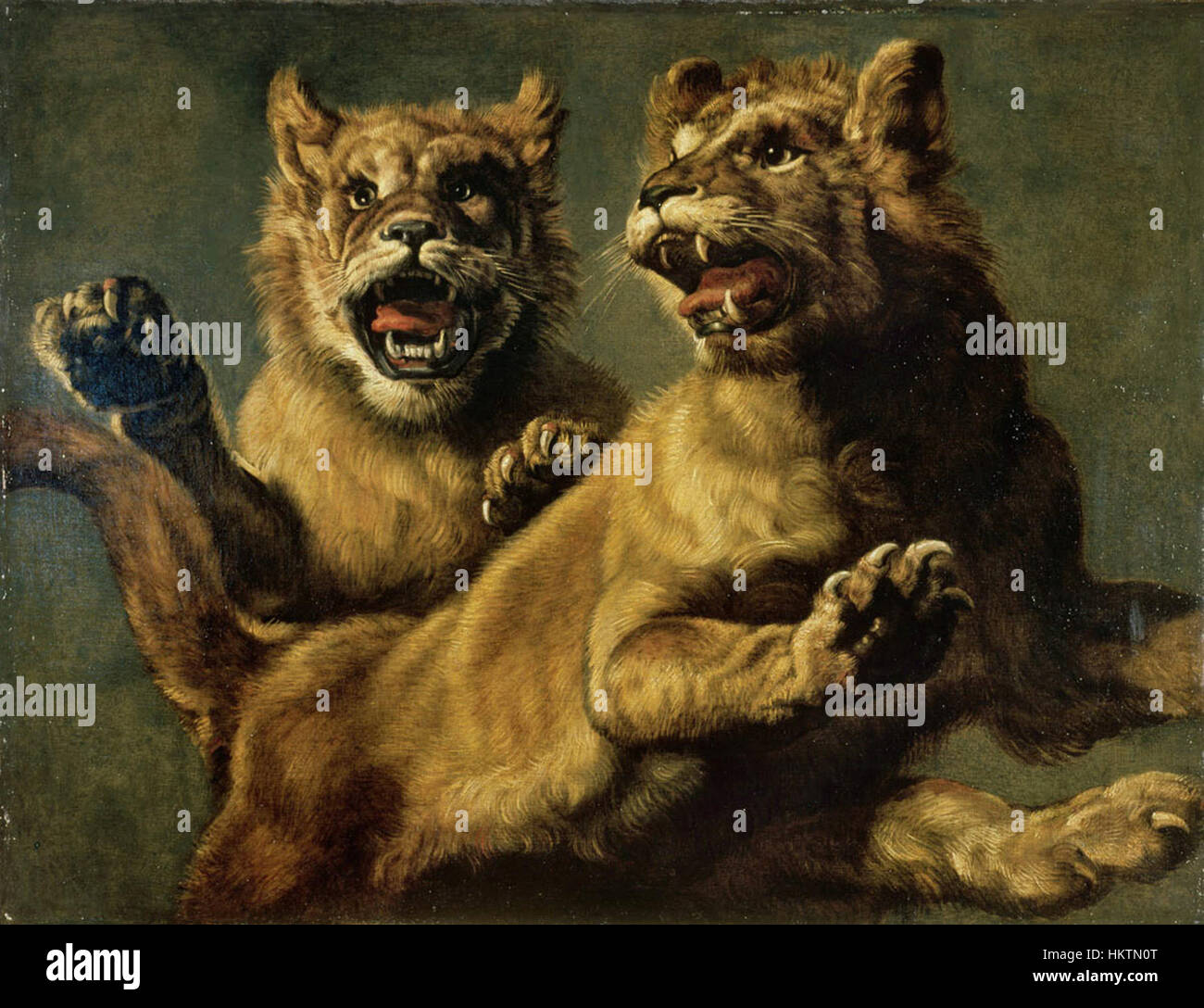 Frans Snyders’ „zwei junge springende Löwen“ ist eine dynamische Darstellung wilder Tiere in Bewegung. Snyders ist bekannt für seine Meisterschaft in der Erfassung der Vitalität der Natur und stellt die Löwen in einem dramatischen und realistischen Stil dar. Stockfoto
