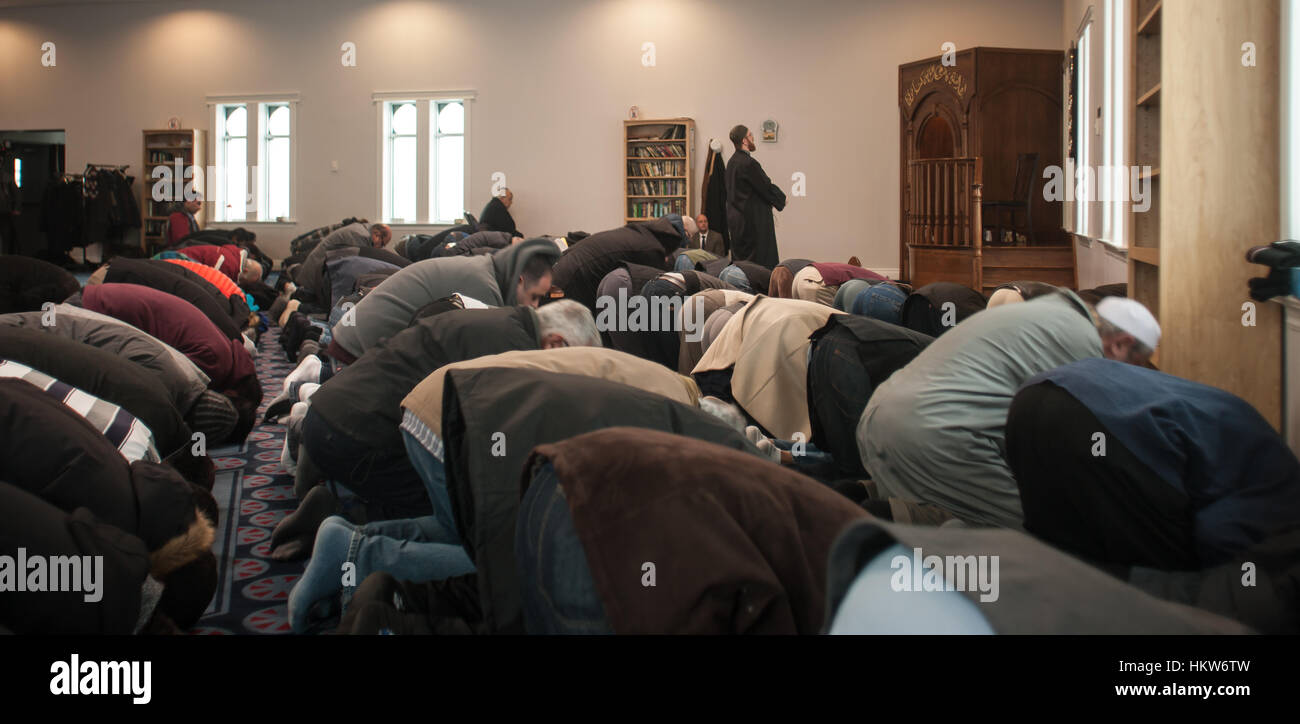 London, UK. 29. Januar 2017. Londoner aller Glaubensrichtungen versammeln sich auf der Treppe auf der Londoner Moschee, ihre Unterstützung und Solidarität mit Mitgliedern der Centre Culturel Islamique de Quebec in Québec (Stadt), zu zeigen, wo sechs Gemeindemitglieder wurden geschossen und getötet während Abendgebet am 29. Januar 2017. Bildnachweis: Mark Spowart/Alamy Live-Nachrichten Stockfoto