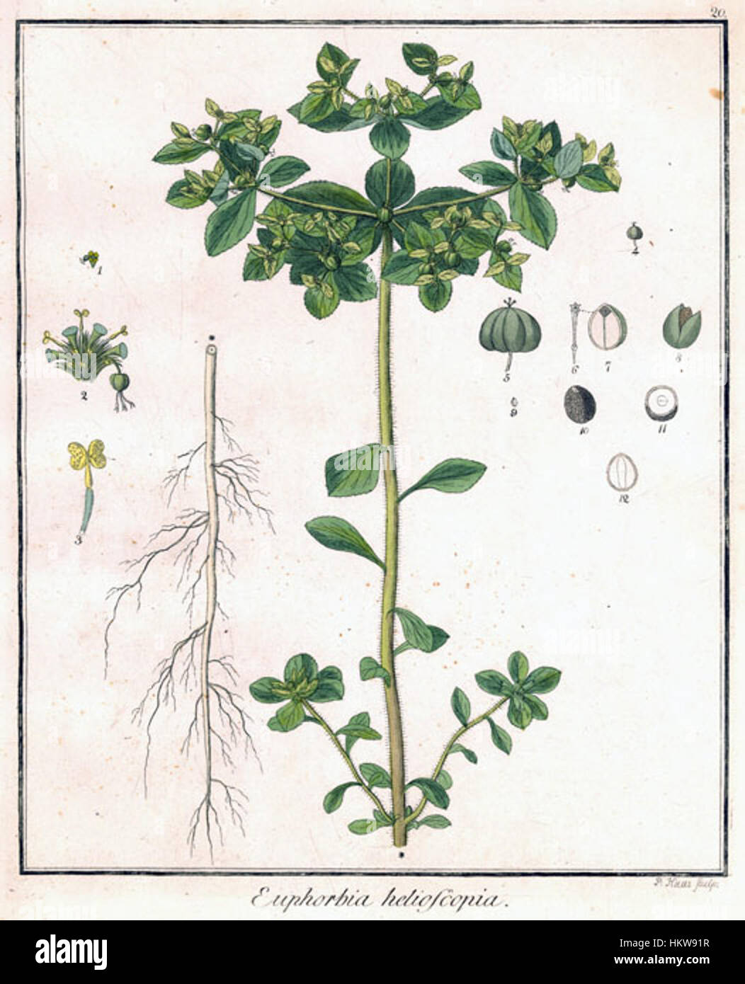 Friedrich Gottlob Hayne war ein Künstler, der für seinen historischen und akademischen Stil der Malerei bekannt war. Seine Werke, darunter „Hayne19“, erfassen die Atmosphäre des 19. Jahrhunderts mit einem Schwerpunkt auf Realismus und historischer Genauigkeit. Stockfoto