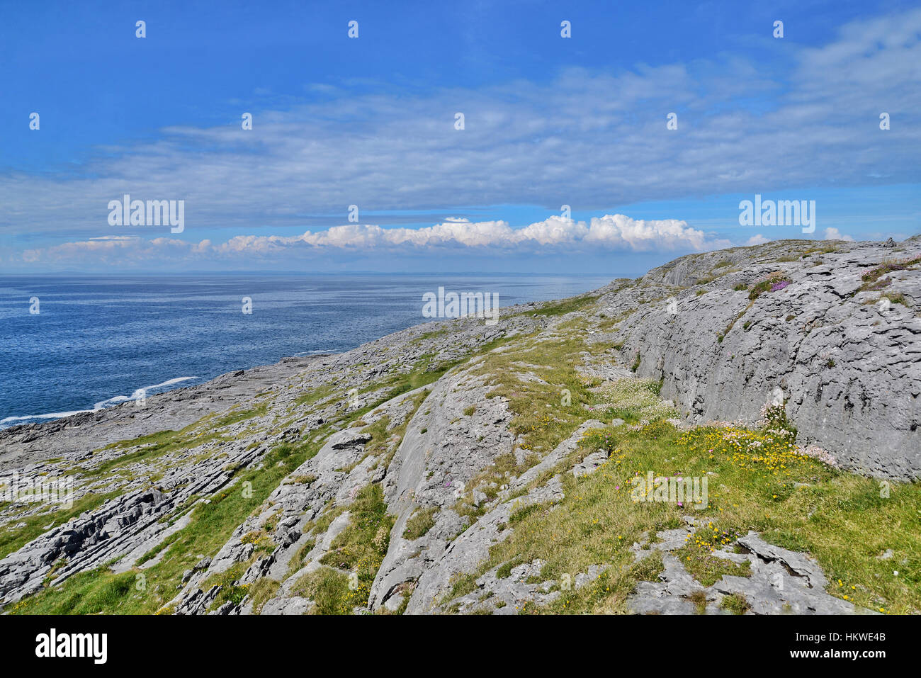 Die felsige Landschaft des Burren an der West Küste von Irland Stockfoto