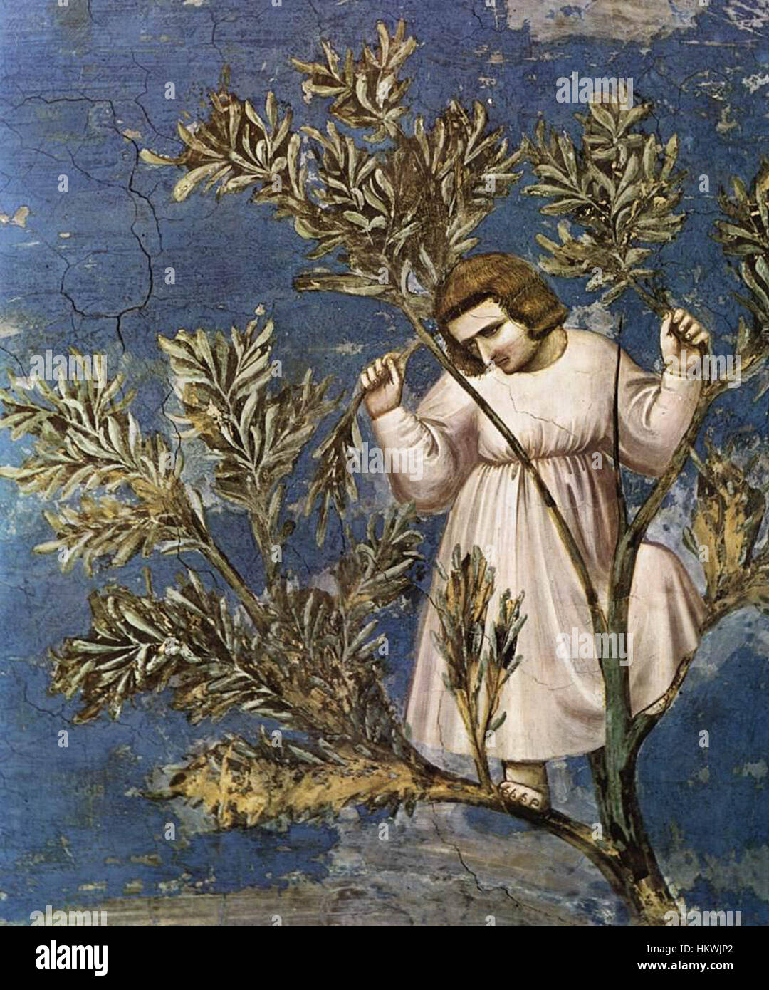 Die Szene „Eintritt in Jerusalem“ von Giotto di Bondone ist Teil seiner Serie über das Leben Christi. Es zeigt anschaulich den Moment des triumphalen Eintritts Christi in Jerusalem und zeigt Giottos Meisterschaft der religiösen Erzählung und Perspektive. Stockfoto