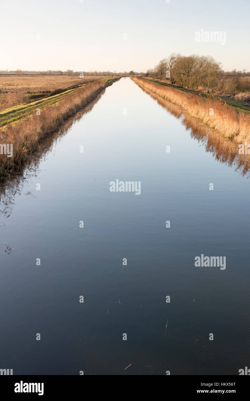 Der Kommissar Drain Entwässerungsrinne und Fluss in Wicken Fen Cambridgeshire Ely UK Stockfoto