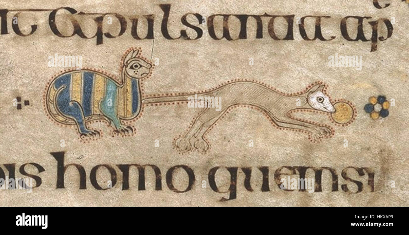 Eine Illustration aus dem „Book of Kells“, die die mittelalterliche Darstellung einer Katze und Maus zeigt. Dieses Kunstwerk unterstreicht die komplizierten Details und Handwerkskunst, die typisch für dieses ikonische Manuskript sind. Stockfoto