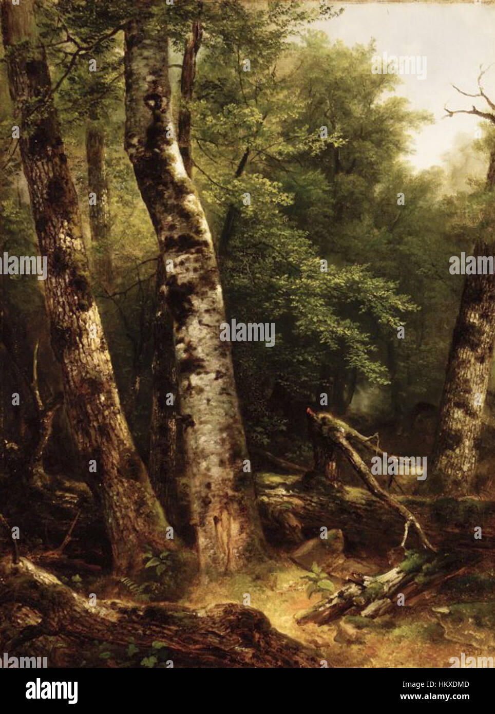 Asher B. Durands „Landscape (Birch and Oaks)“ ist ein Ölgemälde, das eine ruhige ländliche Szene mit Birken- und Eichenbäumen zeigt. Das Werk unterstreicht Durands akribische Liebe zum Detail und die natürliche Schönheit amerikanischer Landschaften, indem es Licht verwendet, um Tiefe und Bewegung in der Szene zu erzeugen. Stockfoto