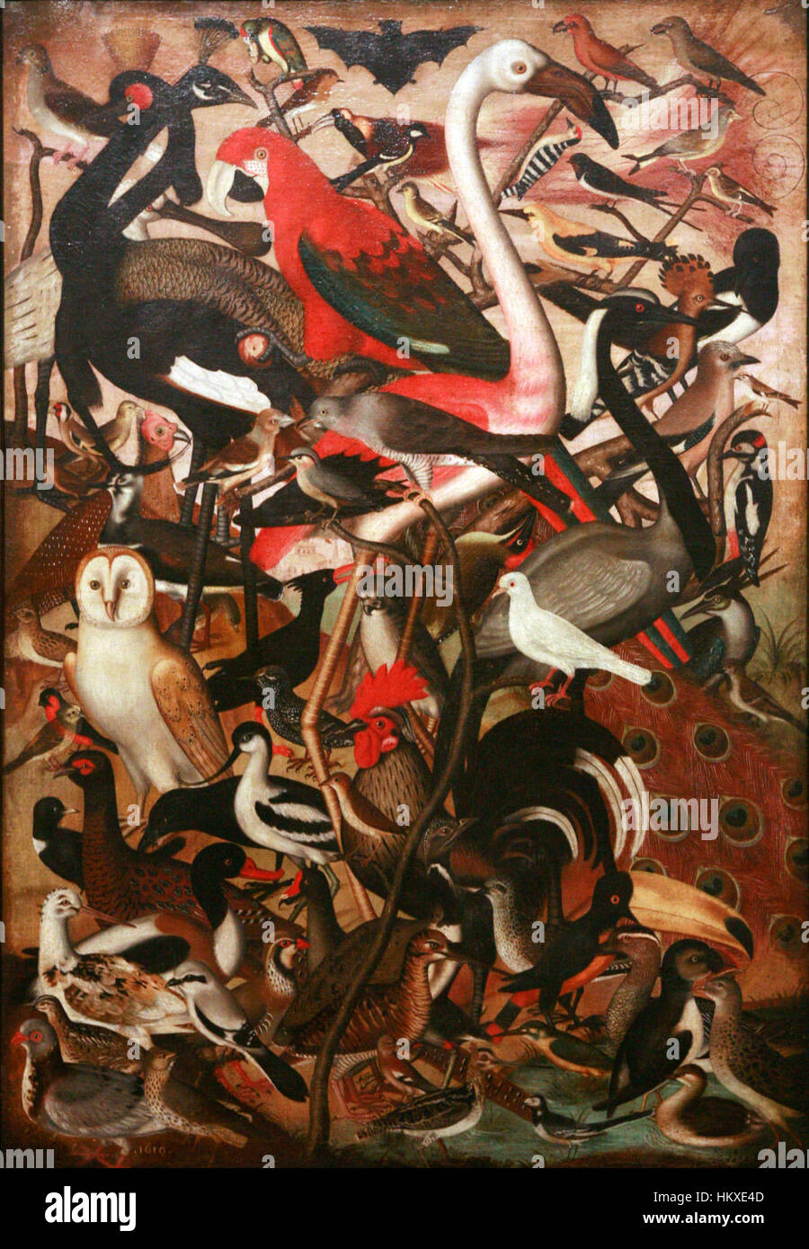 Dieses Kunstwerk mit dem Titel „Birds mg 0148“ fängt die lebendige und dynamische Natur der Vogelwelt mit detaillierten Darstellungen verschiedener Arten in Bewegung ein. Das Gemälde hebt die Schönheit und Vielfalt der Vogelwesen hervor. Stockfoto