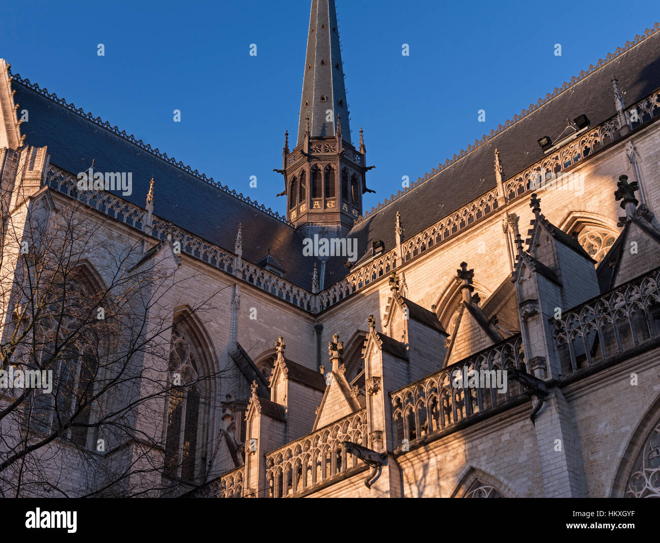Sint-Pieterskerk. St Peter Kirche Leuven Belgien Stockfoto