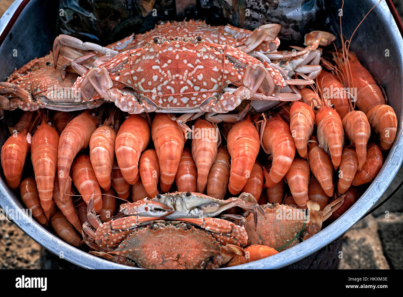 Meeresfrüchte. Auswahl an frisch gefangenen und zum Verkauf zubereiteten Krabben, Garnelen und Garnelen-Meeresfrüchten. Stockfoto