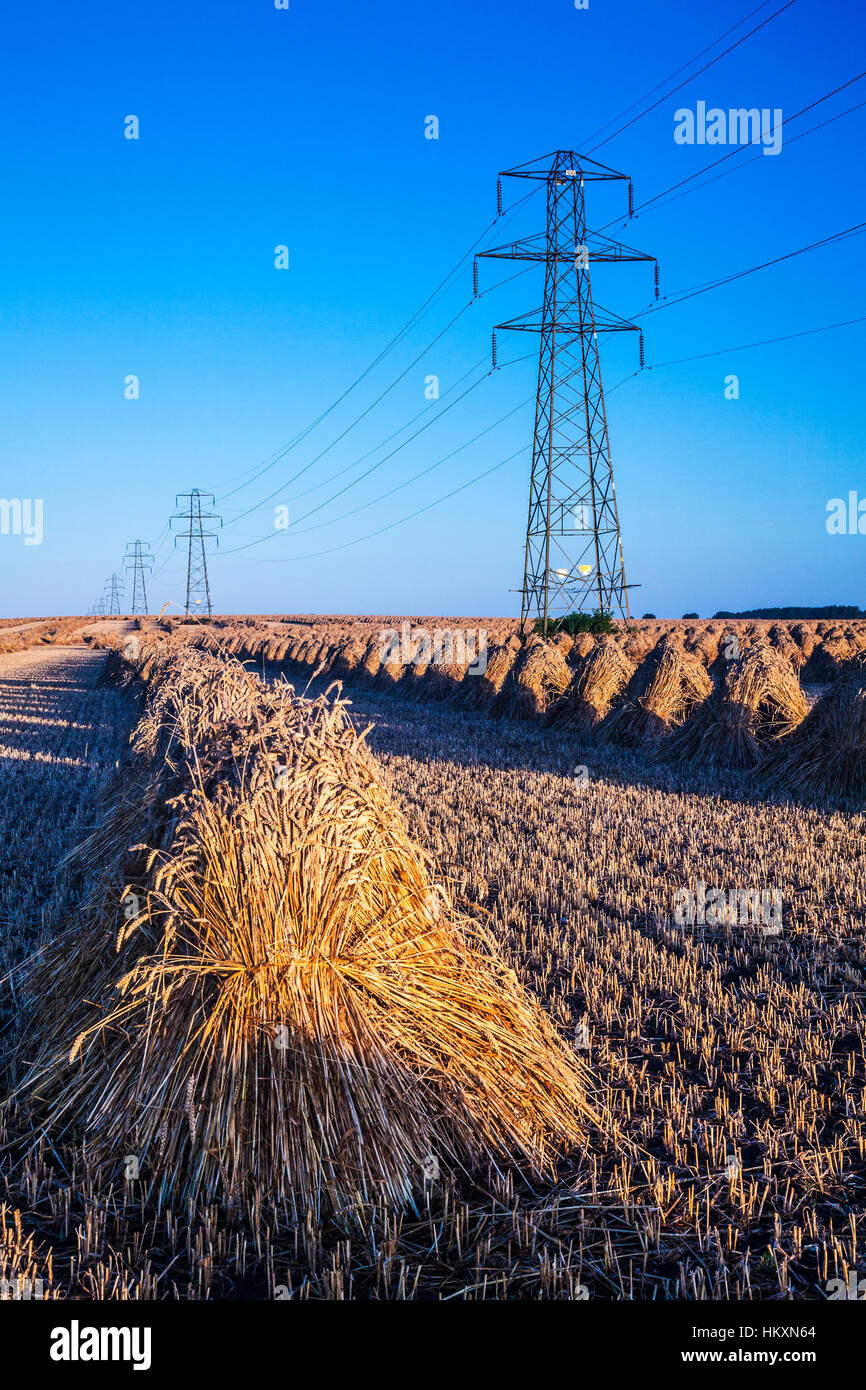 Traditionelle Stooks gegen moderne Strommasten in einem Feld in Wiltshire, UK gegenübergestellt. Stockfoto