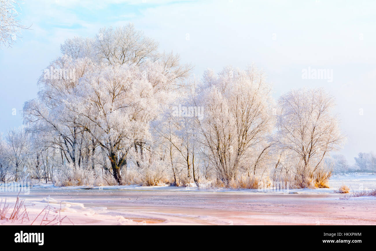 Landschaft mit Bäumen, Wasser, Eis und Schnee am Dnepr in Kiew, Ukraine, im Winter gefroren Stockfoto