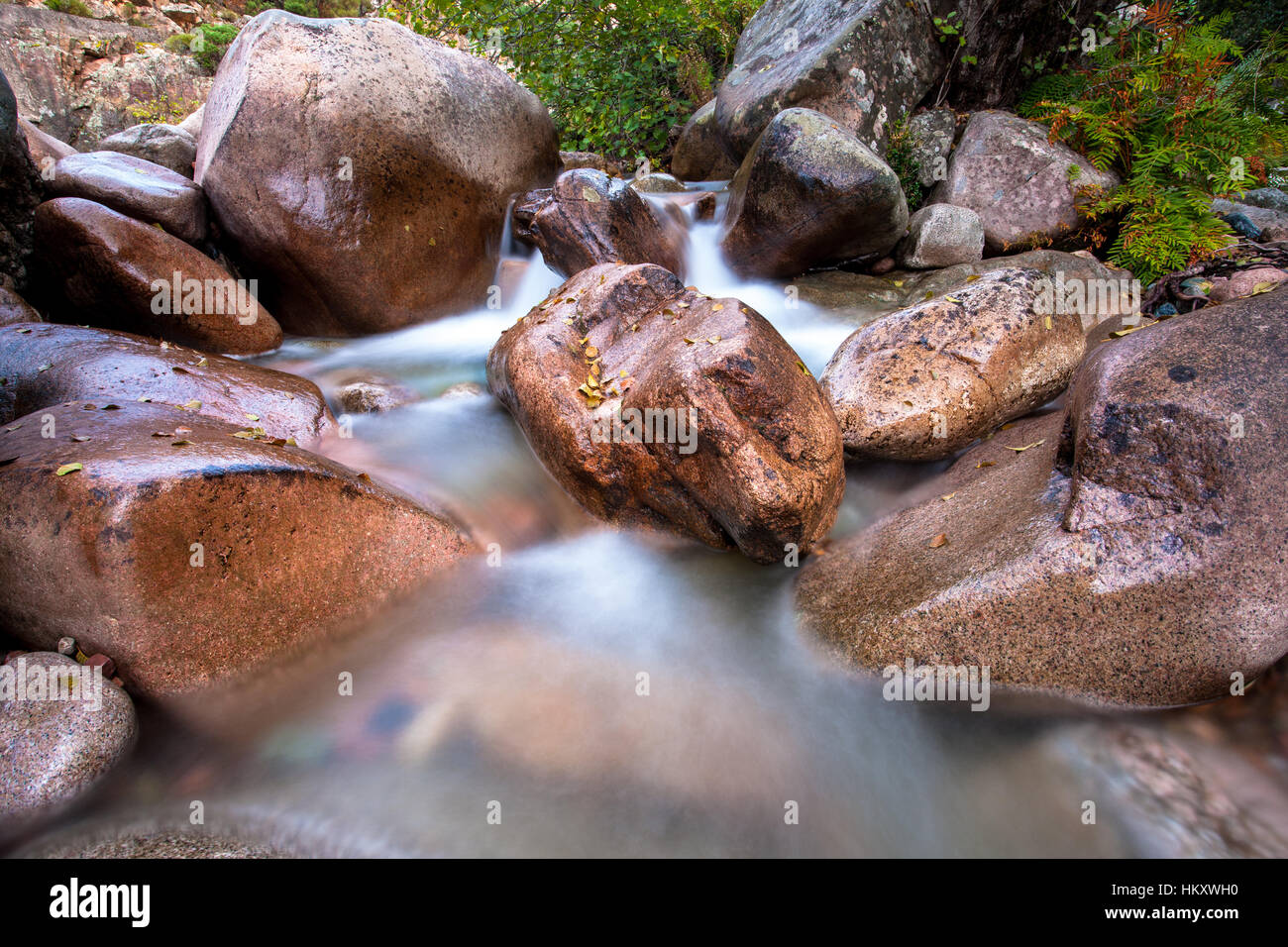 Riesige Felsbrocken in einem Stream Korsika Frankreich Stockfoto