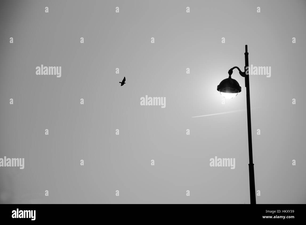 Schwarz / weiß-Bilder der Parisien Straßen Stockfoto