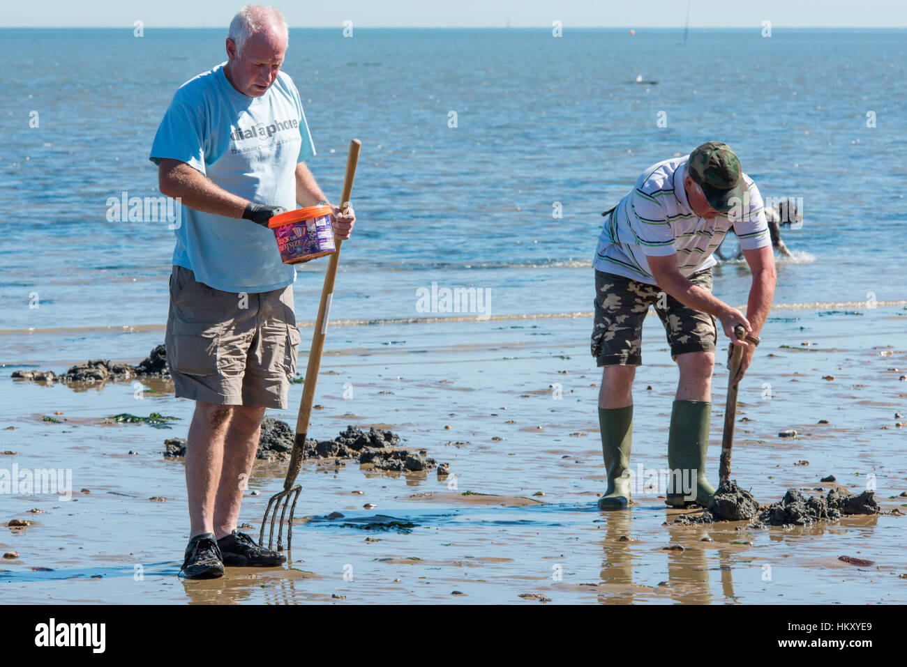Zwei Reifen Fischer am Strand auf der Suche nach Lug Würmer als Köder zum Angeln verwenden. Stockfoto