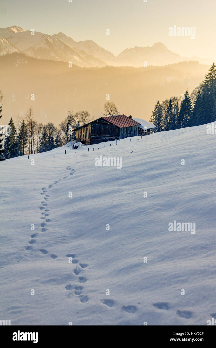 Footprints in snow -Fotos und -Bildmaterial in hoher Auflösung – Alamy