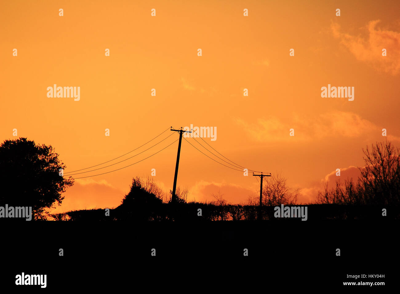 Silhouette Stromleitungen gegen goldenen Himmel Sonnenuntergang Stockfoto