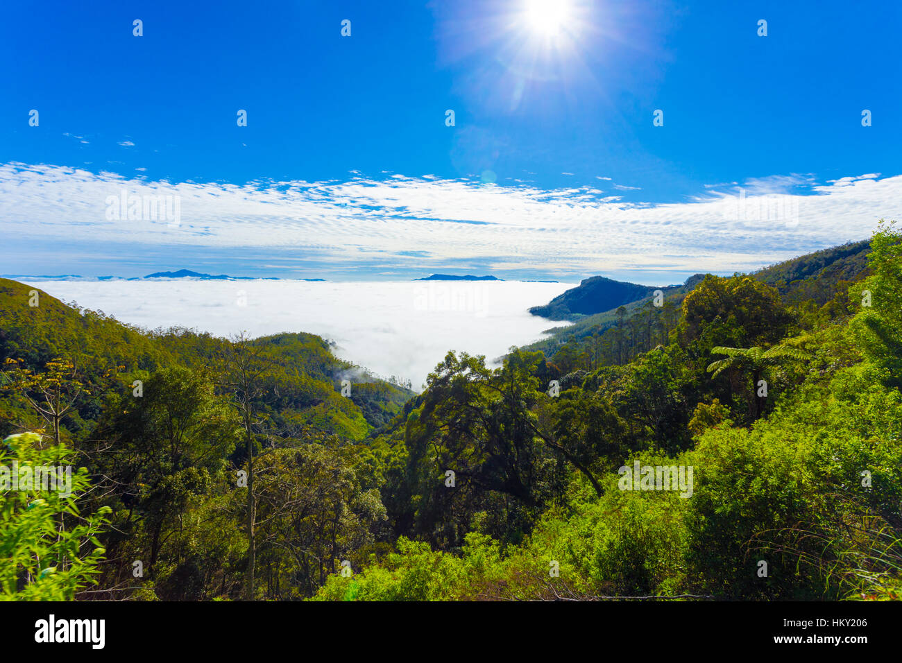 Ein Meer von Wolken bedeckt das Tal von oben in den Bergen des Hill Country in Haputale, Sri Lanka gesehen. Horizontale Stockfoto