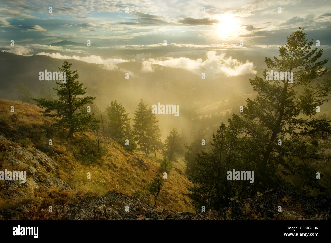 Sonnenuntergang fällt über die steilen Hänge des O'Connor Canyon in Washingtons Okanogan National Forest. Stockfoto