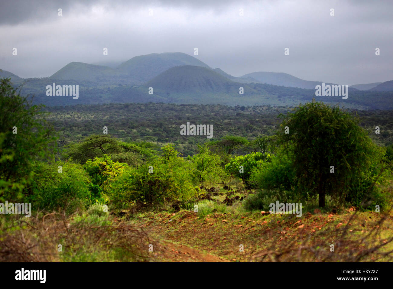 Parken Sie Tsavo East National - Salah Satu Yang Tertua Dan Taman Negara Terbesar di Kenia Stockfoto