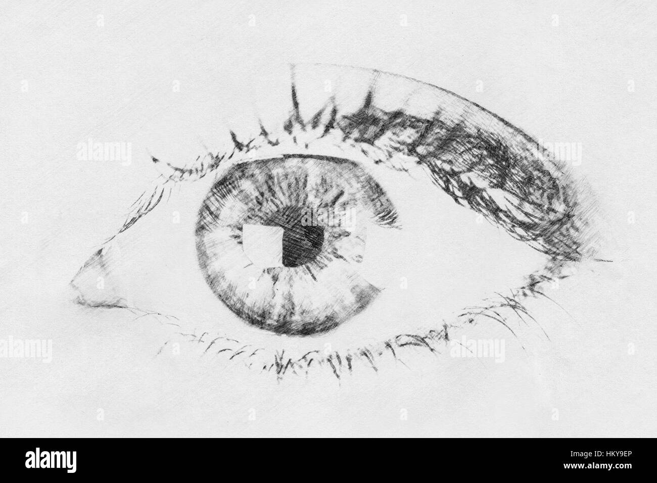 Schwarz / weiß digitale Skizze des menschlichen Auges Stockfoto