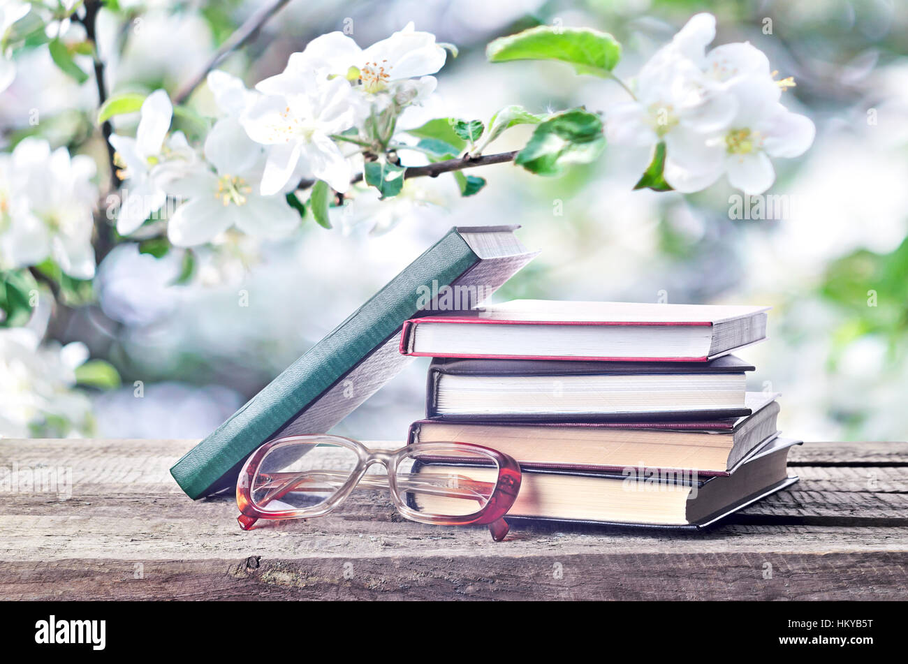 Bücher und Brillen im Freien auf natürlichen Frühling oder Sommer Hintergrund. Stapel Bücher, Gläser in der Natur. Zurück zum Frühling oder Sommer. Stockfoto