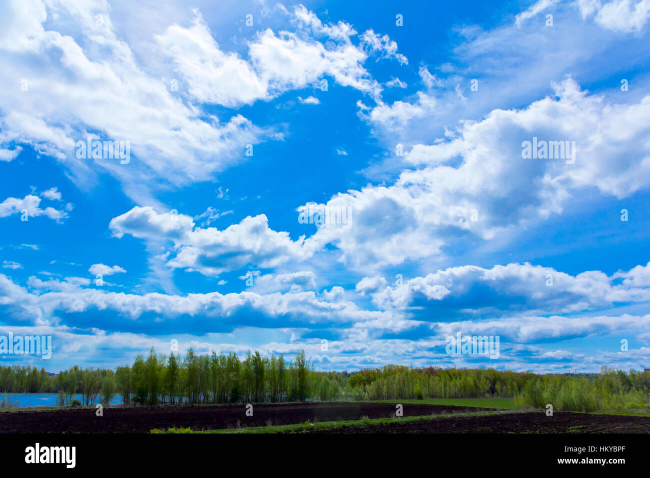 Foto von Sommerlandschaft mit Himmel und Wald Stockfoto