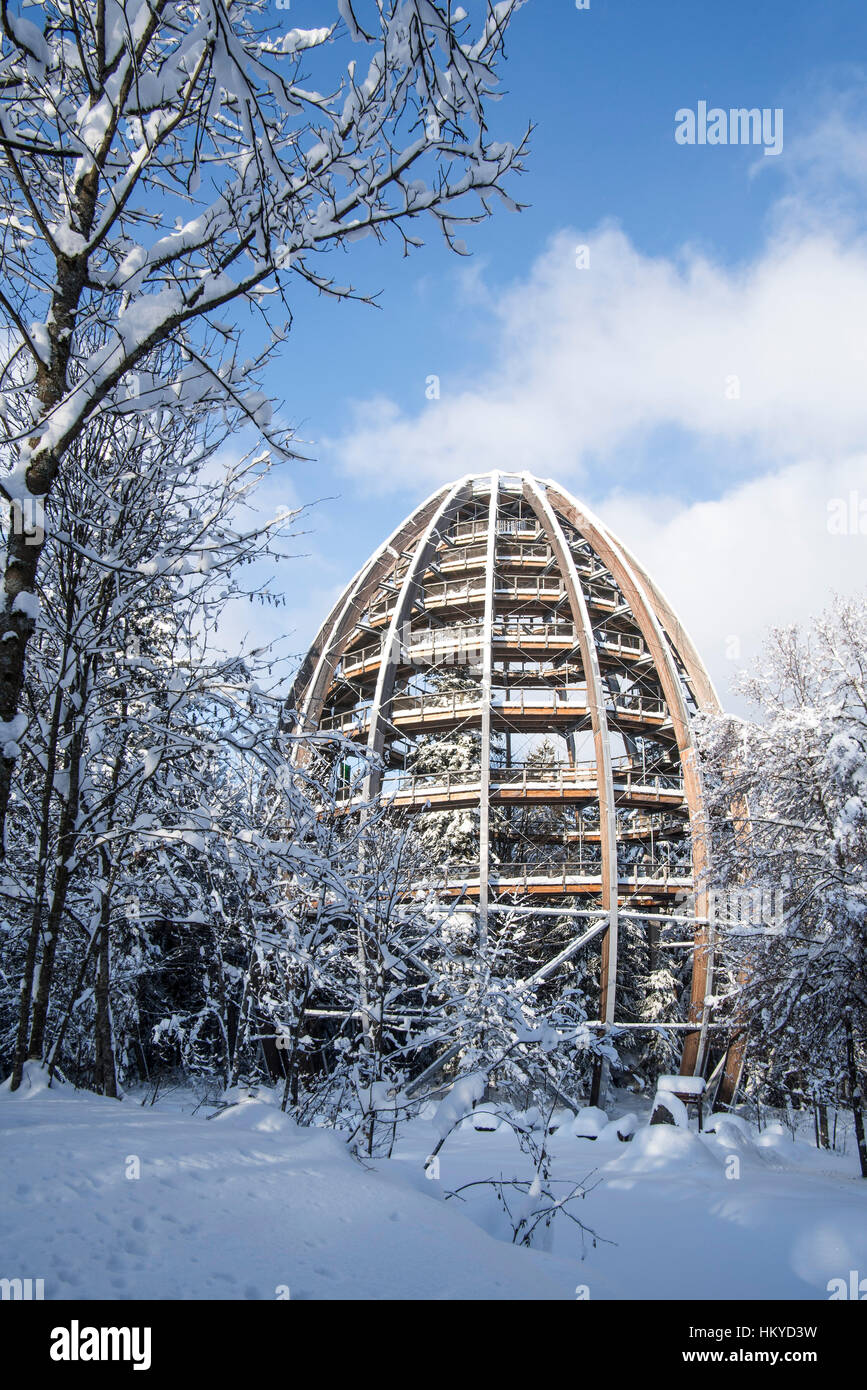 Baumwipfelpfad im Winter, Holzturm Bau der weltweit längste Tree Top walk in den Nationalpark Bayerischer Wald, Neuschönau, Deutschland Stockfoto