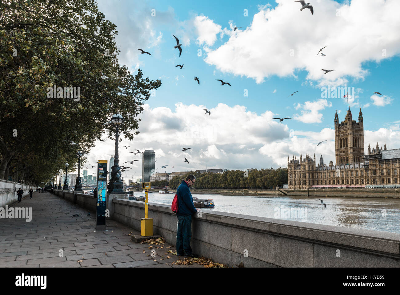 London, Vereinigtes Königreich - 18. Oktober 2016: Mann steht in der Nähe der Themse und Aussicht auf die London Parliament und Big Ben in London, Eng Stockfoto