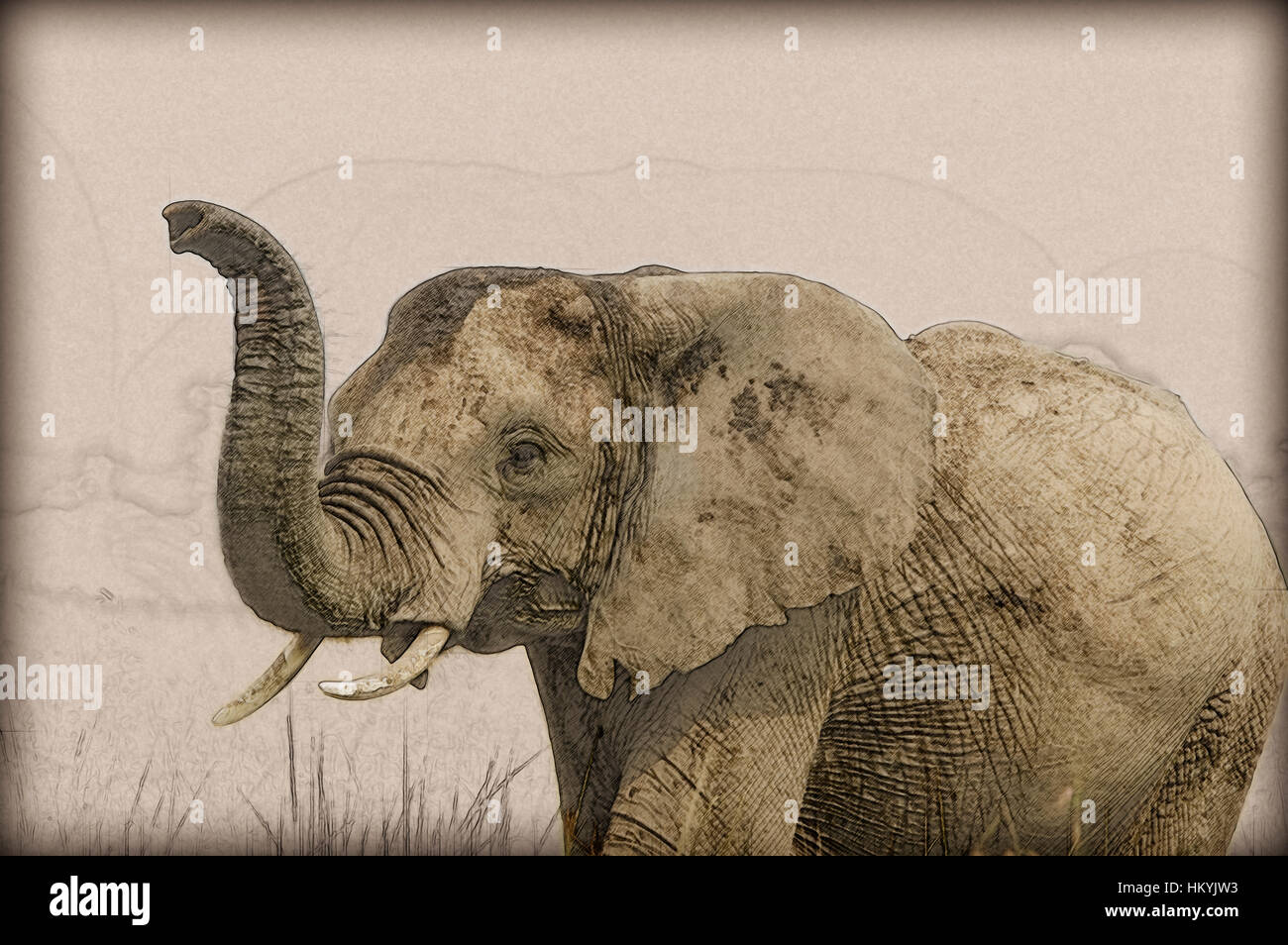 Digital Bild einer engen erweitert sich eines afrikanischen Elefanten mit erhöhten erhöhten Stamm. Fotografiert in Kenia, Masai Mara reserve Stockfoto