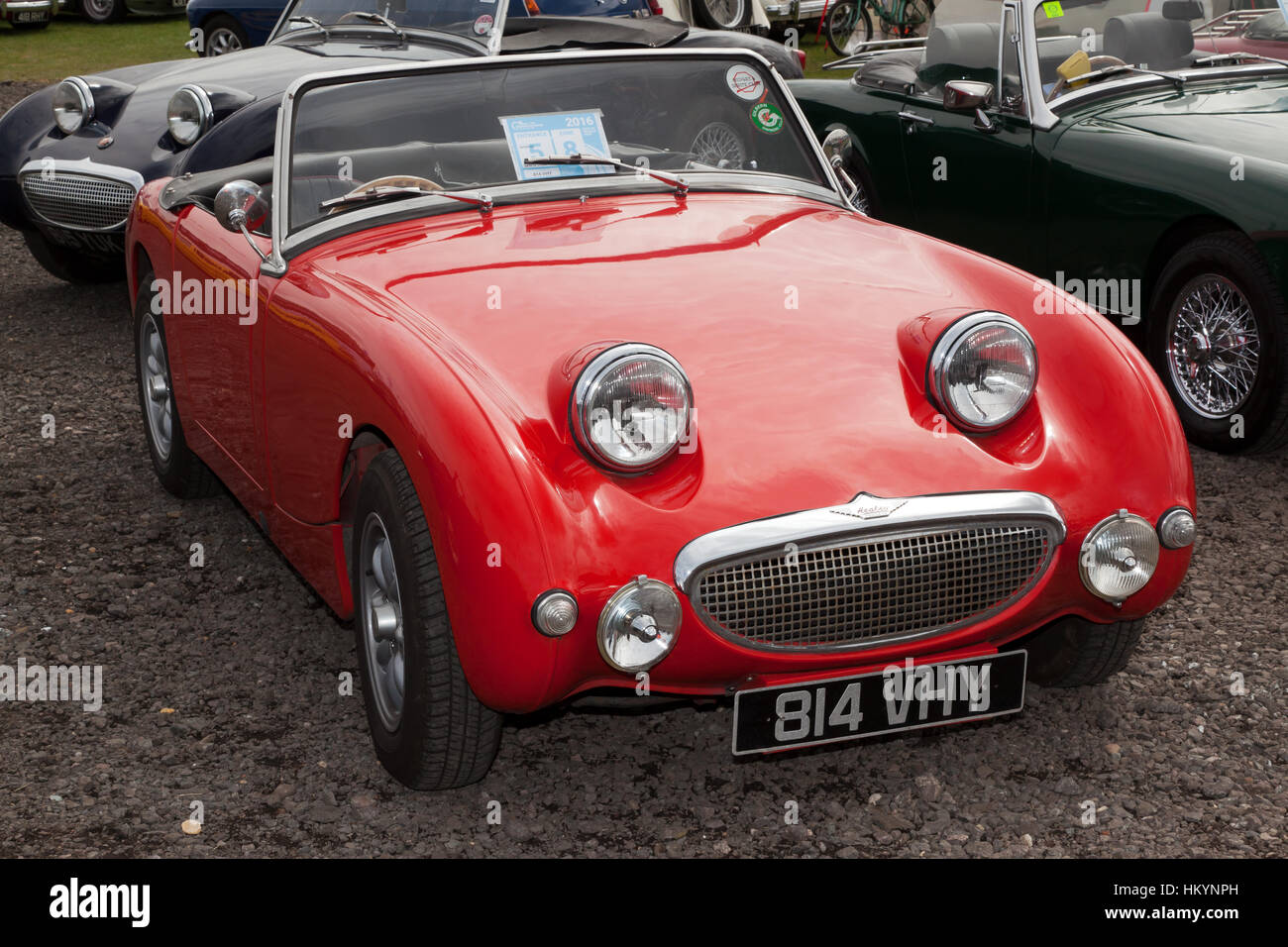 Blick auf eine Mark1 Austin-Healey Sprite (Frogeye) auf dem Display in der Austin Healey Club Zone im Jahr 2016 Silverstone Classic Stockfoto