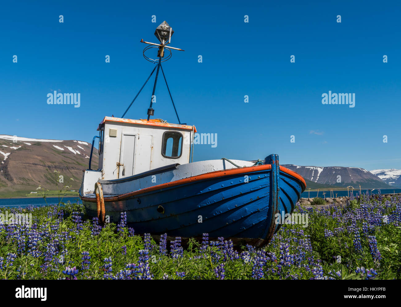 Thingeyri, Island - 5. Juli 2016: Altes, blau aus Holz Angelboot/Fischerboot in der Nähe von Hafen von Thingeyri mit Bergen und Schnee auf Island. Stockfoto
