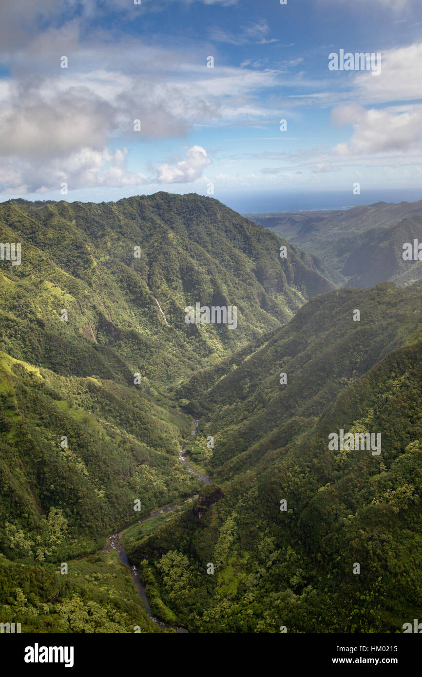 Luftaufnahme von einem steilen Tal auf Kauai, Hawaii, USA. Stockfoto