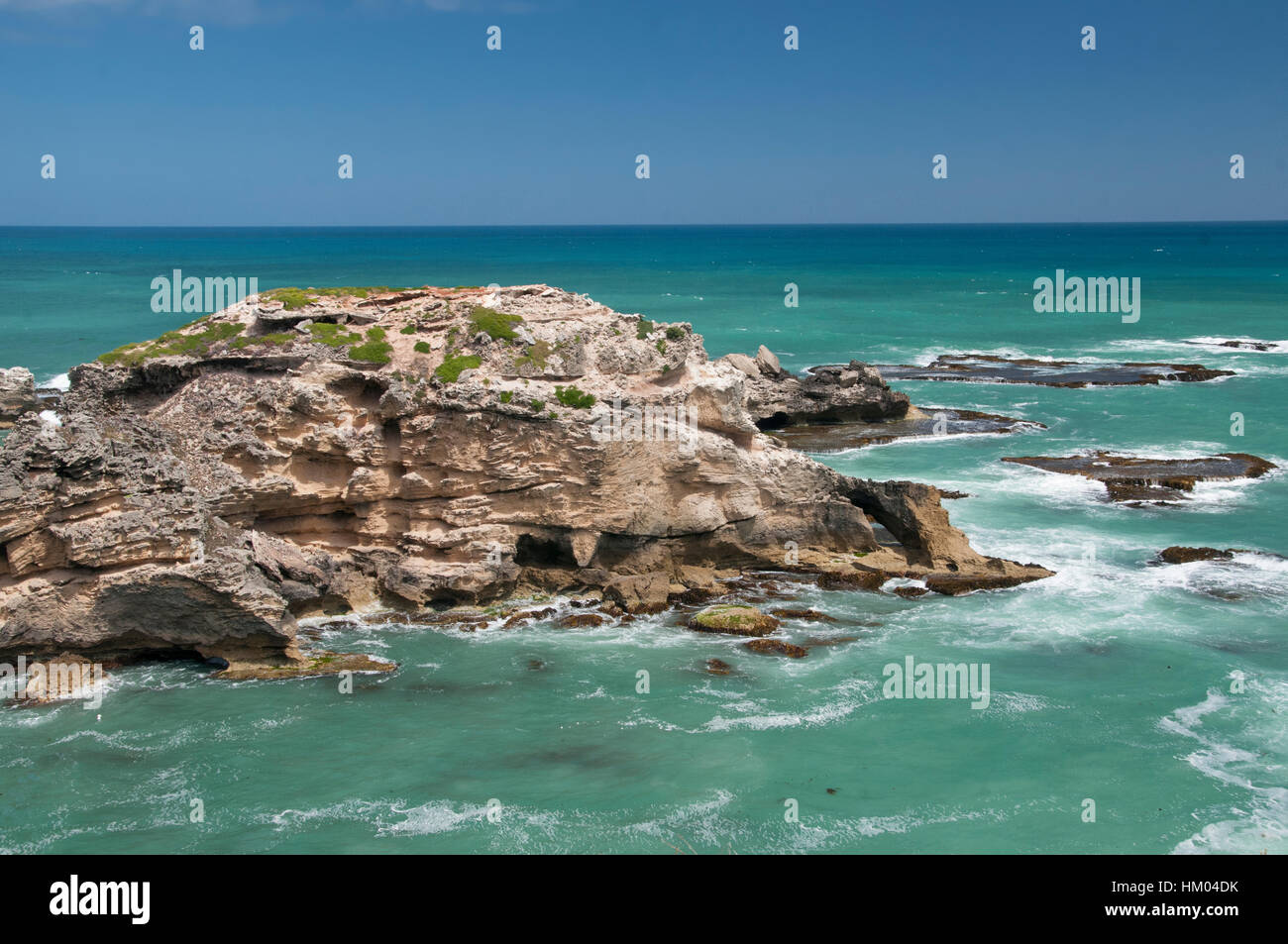 Coastal Landschaftsformen am Kap Northumberland, Port MacDonnell, südöstlichen South Australia Stockfoto