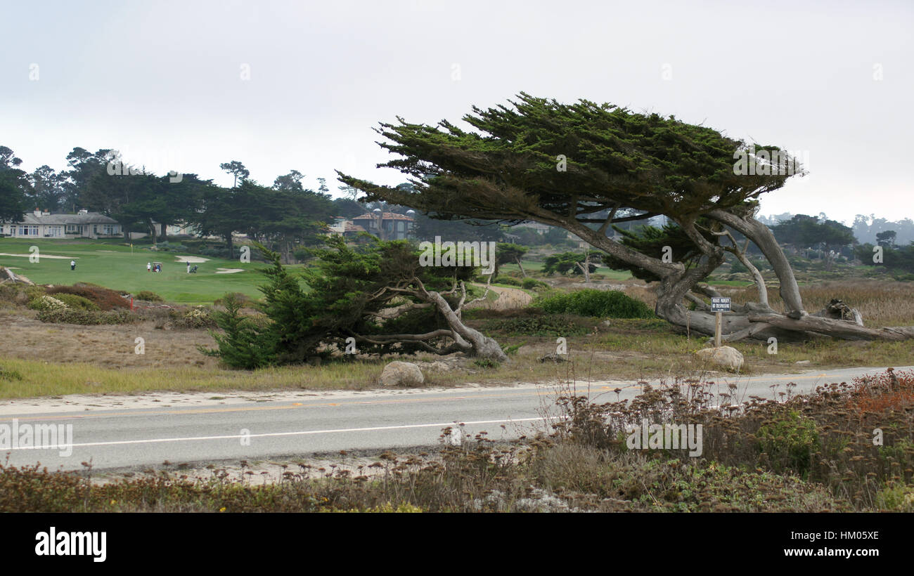 CARMEL, Kalifornien, Vereinigte Staaten - 6. Oktober 2014: schöne Häuser in Pebble Beach Golf Course, der berühmte 17 Meilen Antriebsbereich gehört Stockfoto