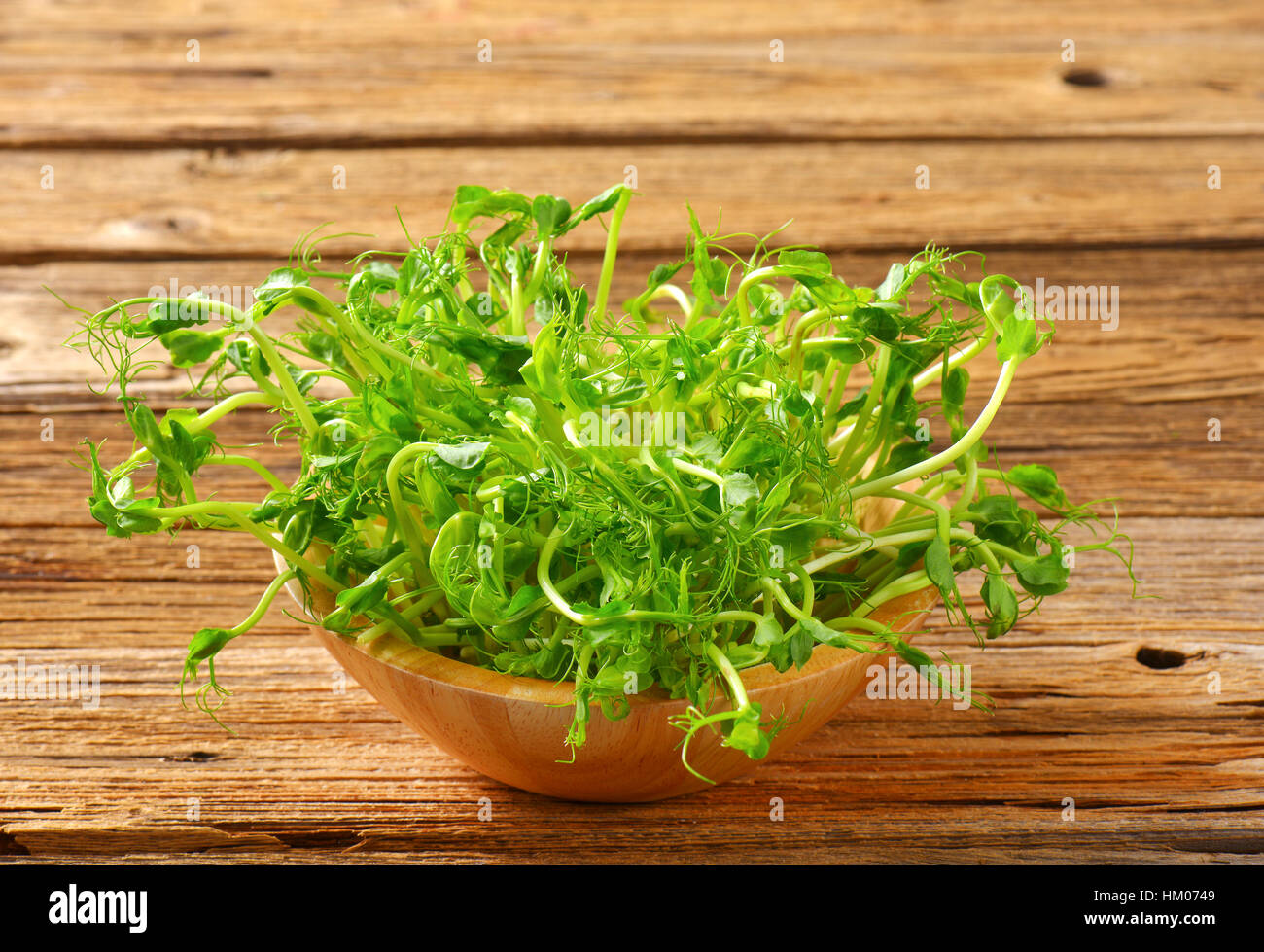 Junge erbsensprossen -Fotos und -Bildmaterial in hoher Auflösung – Alamy