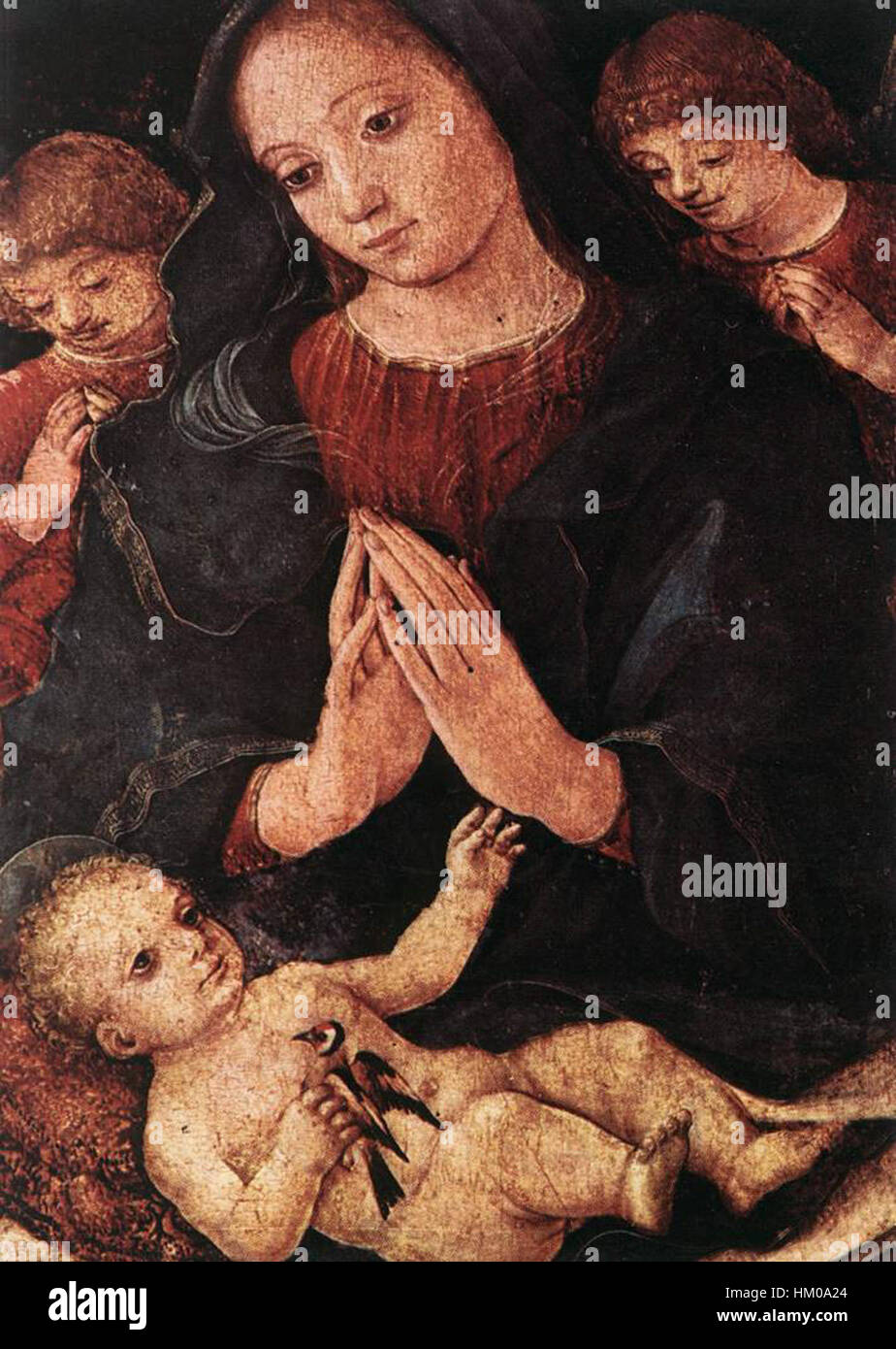 Liberale da Verona - Madonna del Cardellino - WGA12966 Stockfoto